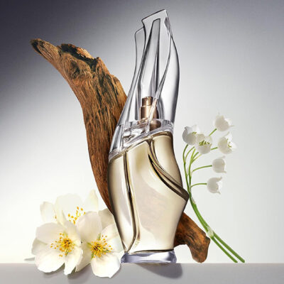 Donna Karan Cashmere Mist Fragrance Notes